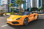  Castorland, B-52950,  ARRINERA HUSSARYA , 500 